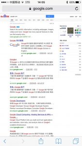 search_spoof_1
