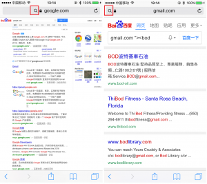 search_spoof_4
